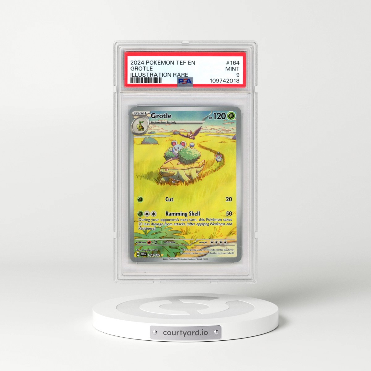 2024 Pokémon Tef EN-Temporal Forces #164 Grotle - Illustration Rare (PSA 9 MINT)
