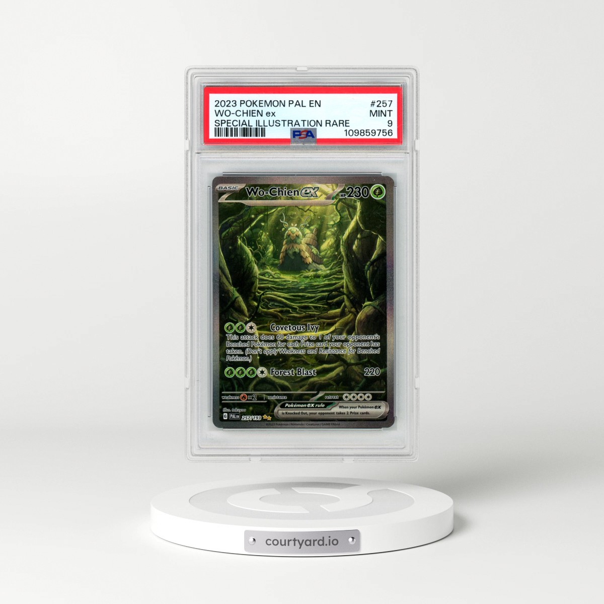 2023 Pokémon Pal EN-Paldea Evolved #257 WO-Chien EX - Holo Special Illustration Rare (PSA 9 MINT)