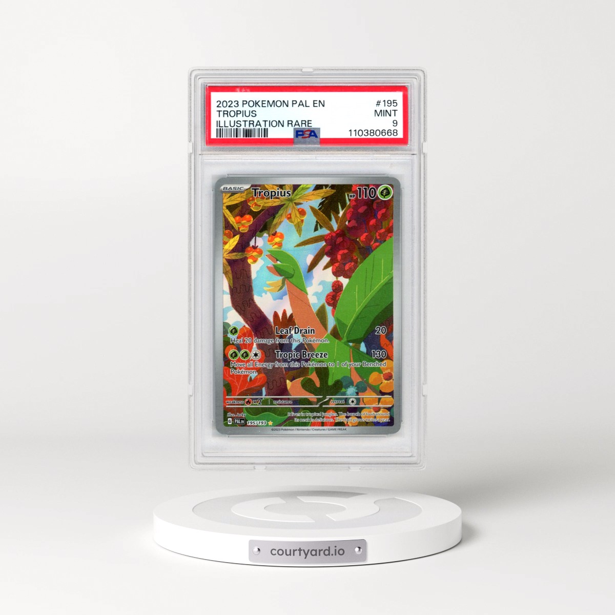 2023 Pokémon Pal EN-Paldea Evolved #195 Tropius - Illustration Rare (PSA 9 MINT)