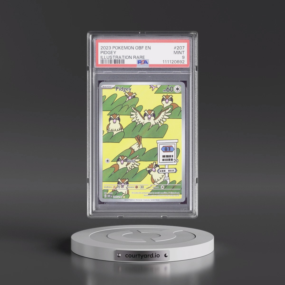 2023 Pokémon Obf EN-Obsidian Flames #207 Pidgey - Illustration Rare (PSA 9 MINT)