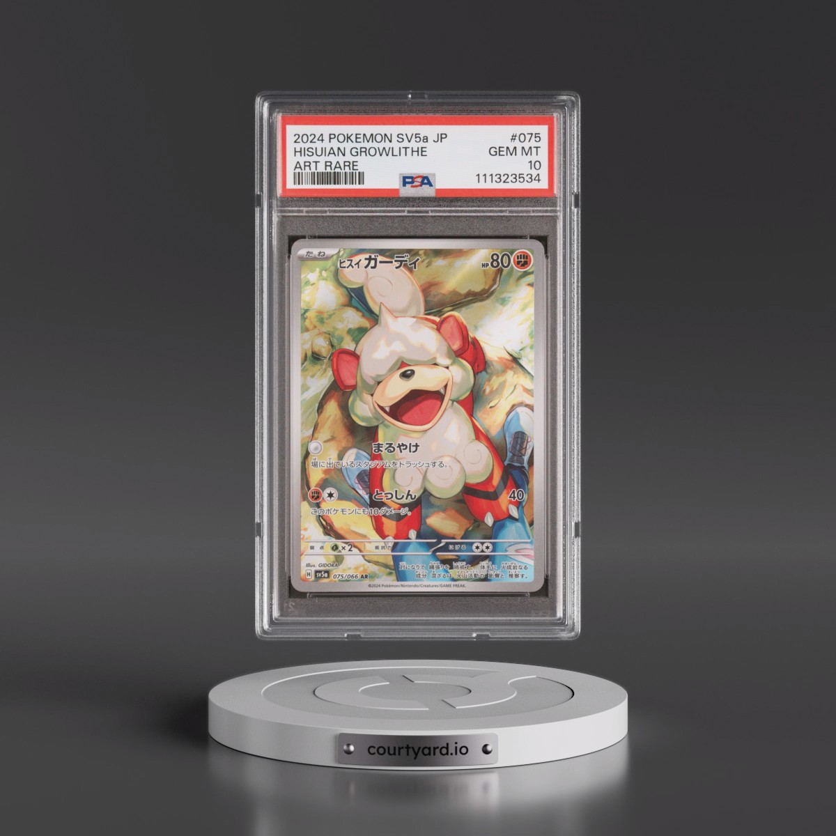 2024 Pokémon Sv5a-Crimson Haze #075 Hisuian Growlithe - Art Rare (PSA 10 GEM MINT)