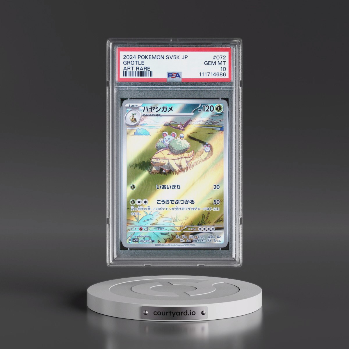 2024 Pokémon Sv5k-Wild Force #072 Grotle - Art Rare (PSA 10 GEM MINT)