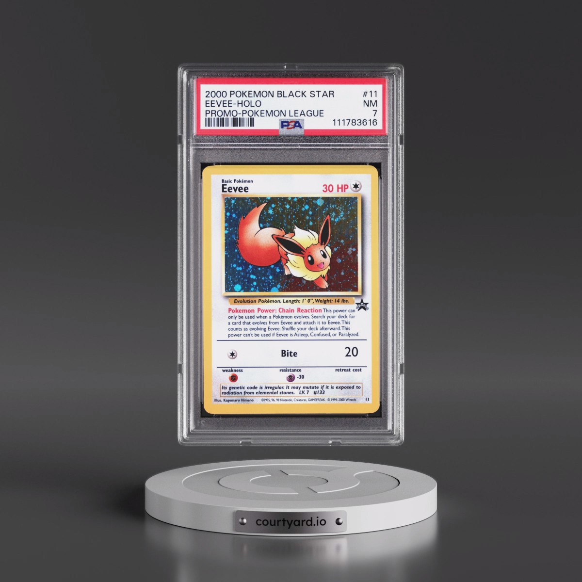 2000 Pokémon Promo Black Star #11 Eevee - Holo Pokemon League (PSA 7 NM)