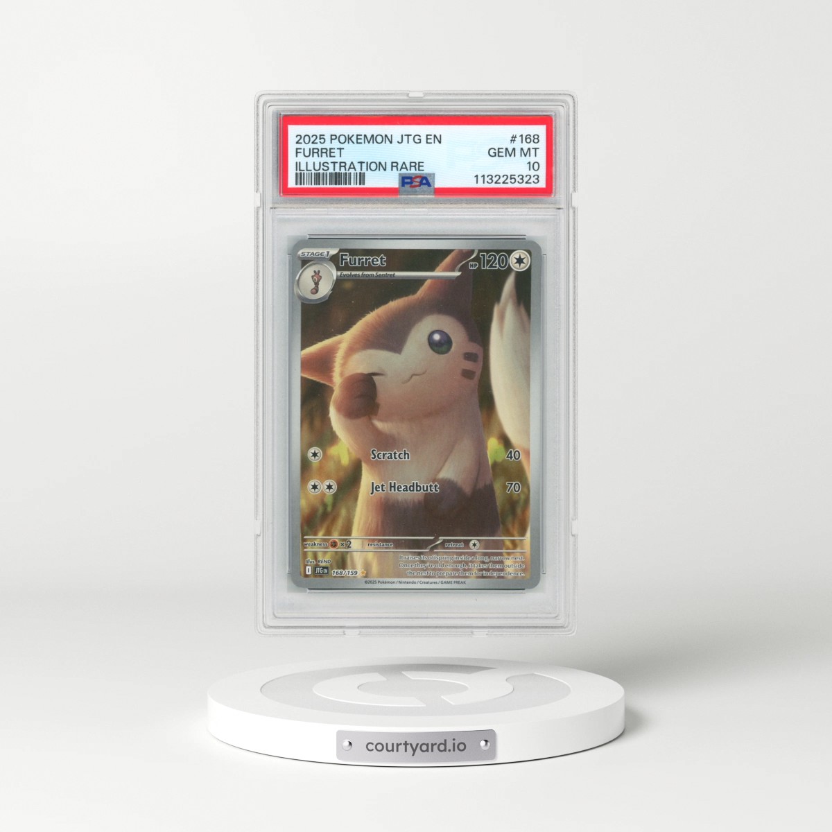 2025 Pokémon Jtg EN-Journey Together #168 Furret - Illustration Rare (PSA 10 GEM MINT)
