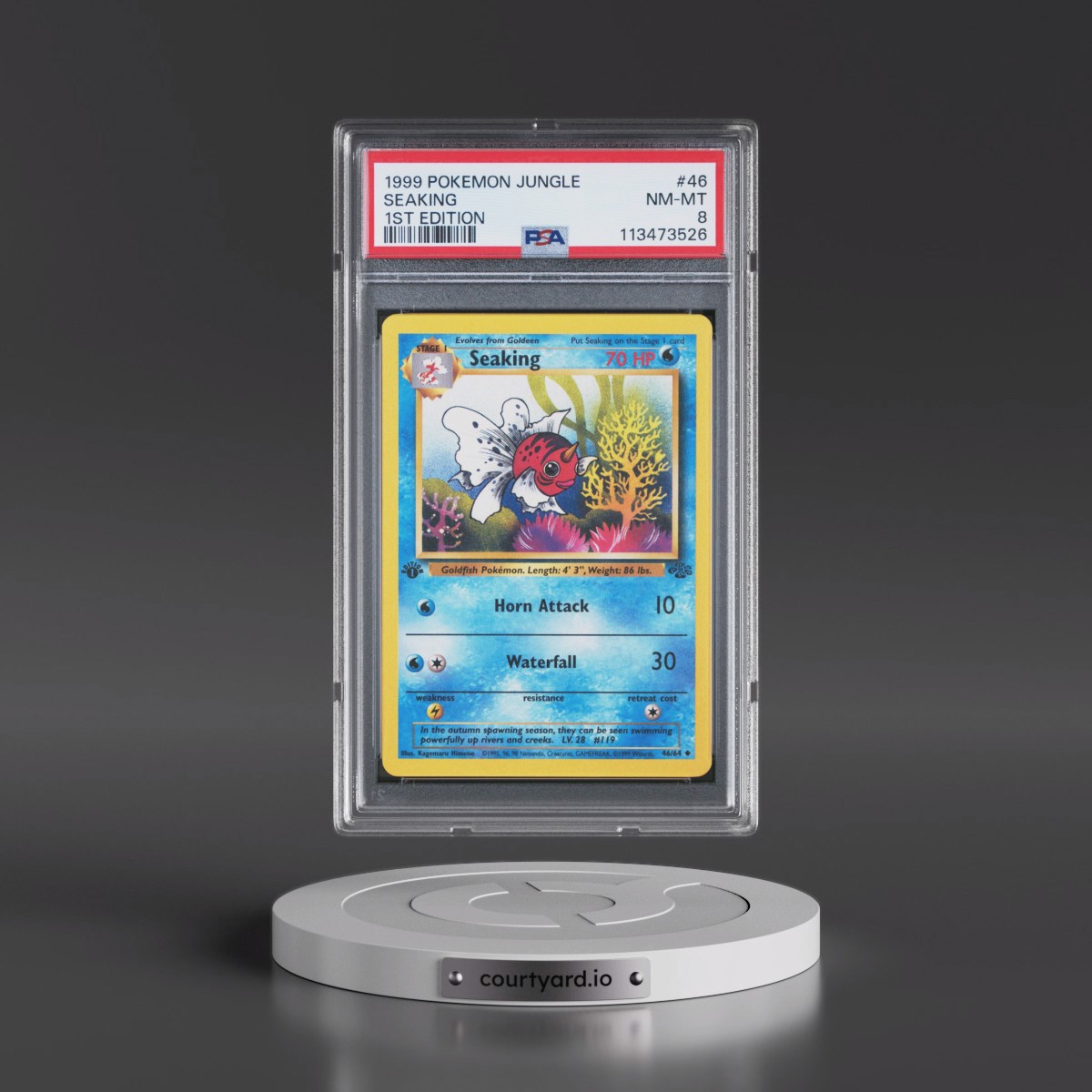 1999 Pokémon Jungle #46 Seaking - 1st Edition (PSA 8 NM-MT)