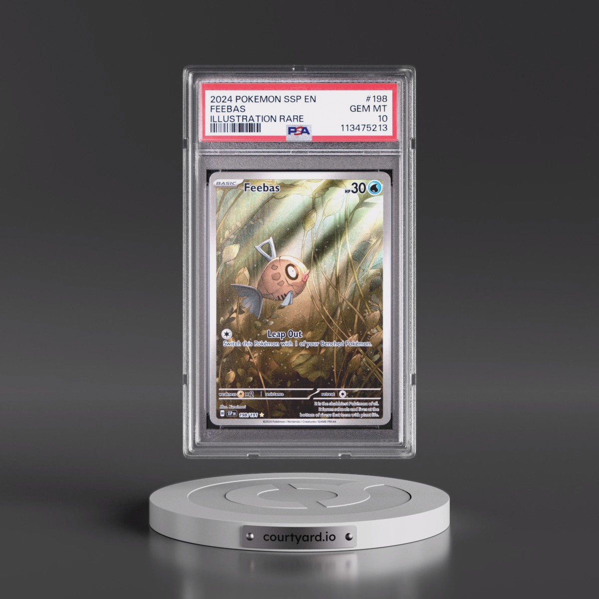 2024 Pokémon Ssp EN-Surging Sparks #198 Feebas - Illustration Rare (PSA 10 GEM MINT)