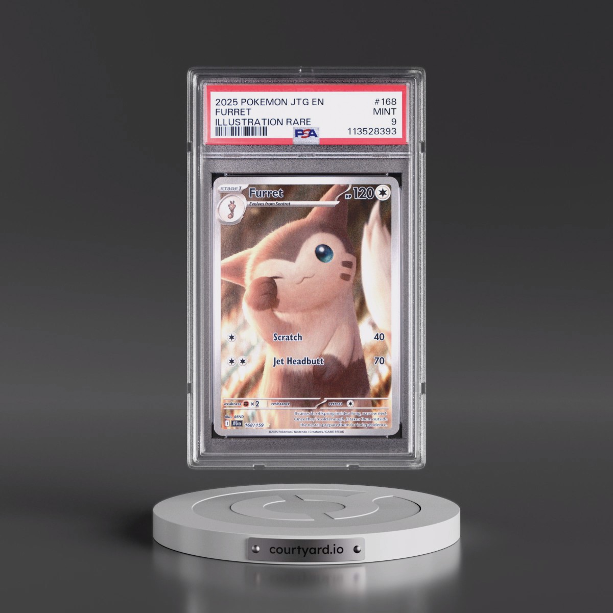 2025 Pokémon Jtg EN-Journey Together #168 Furret - Illustration Rare (PSA 9 MINT)