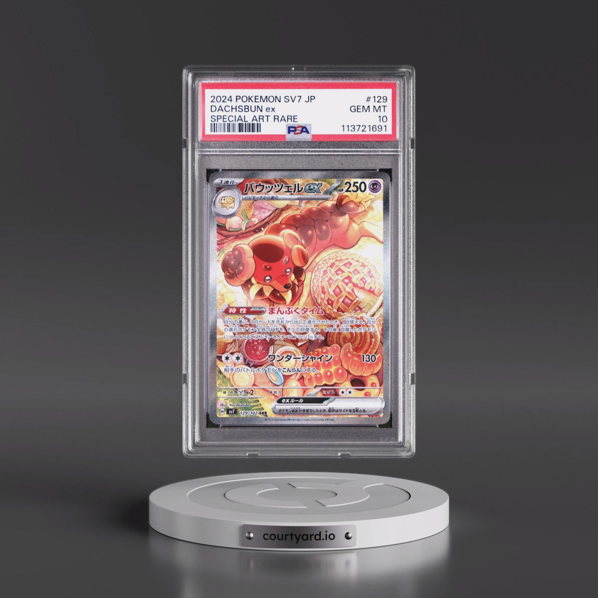 2024 Pokémon SV7-Stellar Miracle #129 Dachsbun EX - Holo Special Art Rare (PSA 10 GEM MINT)
