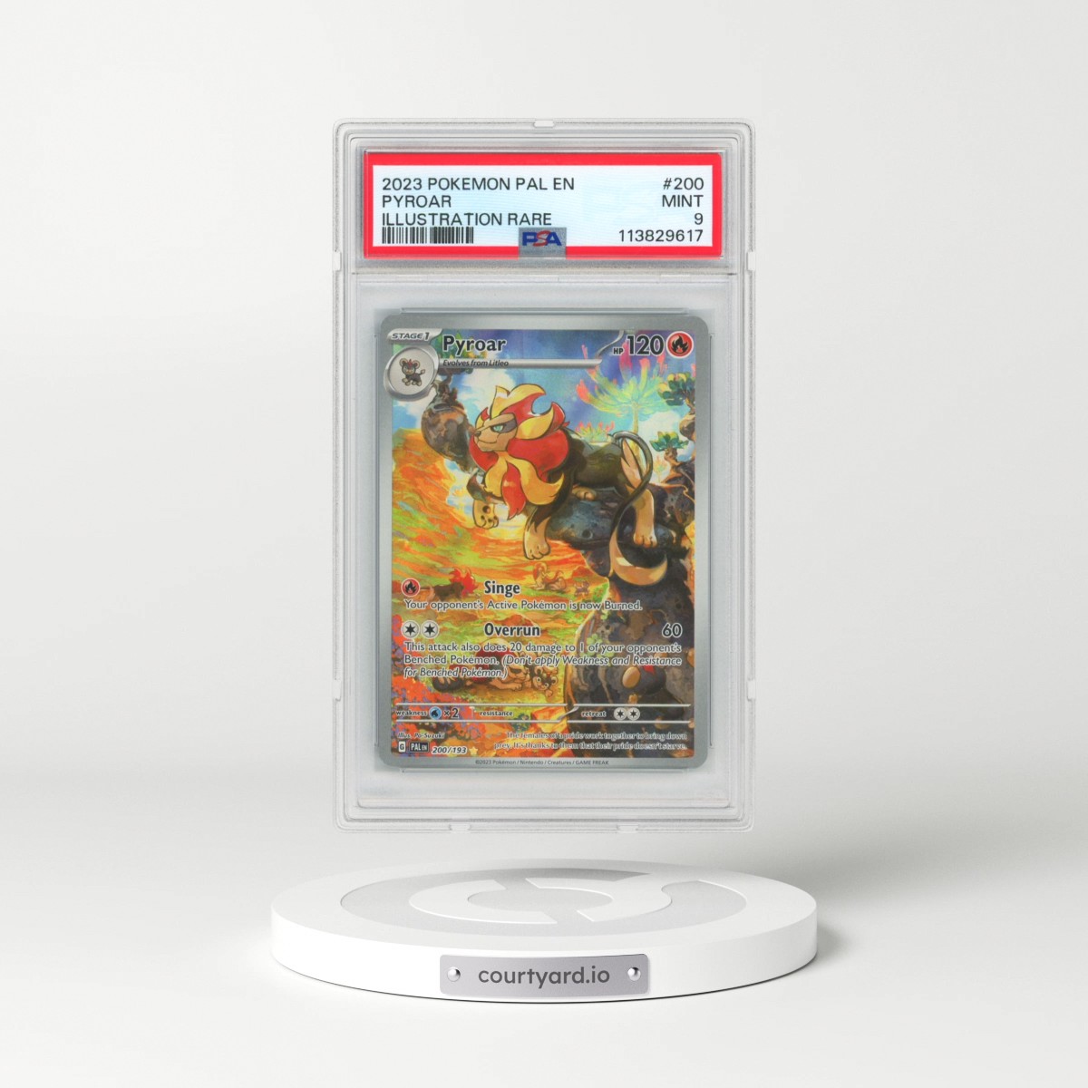 2023 Pokémon Pal EN-Paldea Evolved #200 Pyroar - Illustration Rare (PSA 9 MINT)