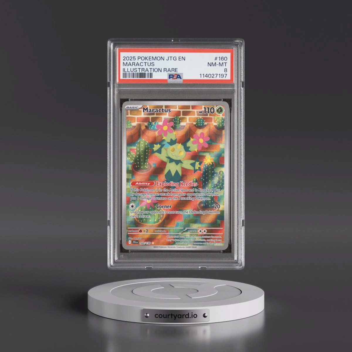 2025 Pokémon Jtg EN-Journey Together #160 Maractus - Illustration Rare (PSA 8 NM-MT)