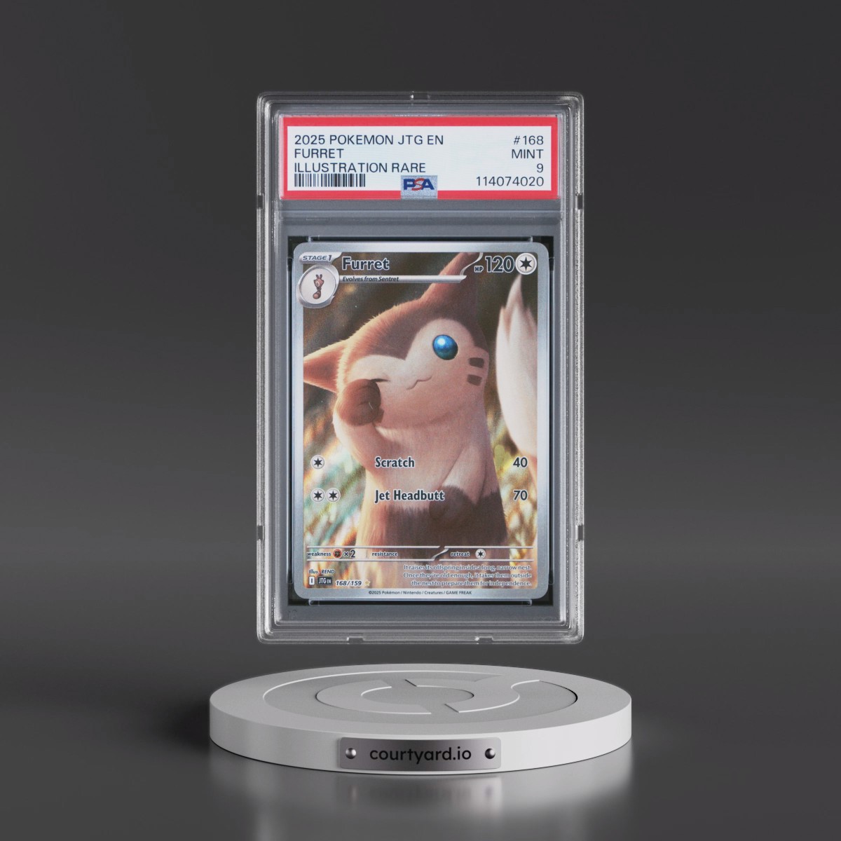 2025 Pokémon Jtg EN-Journey Together #168 Furret - Illustration Rare (PSA 9 MINT)