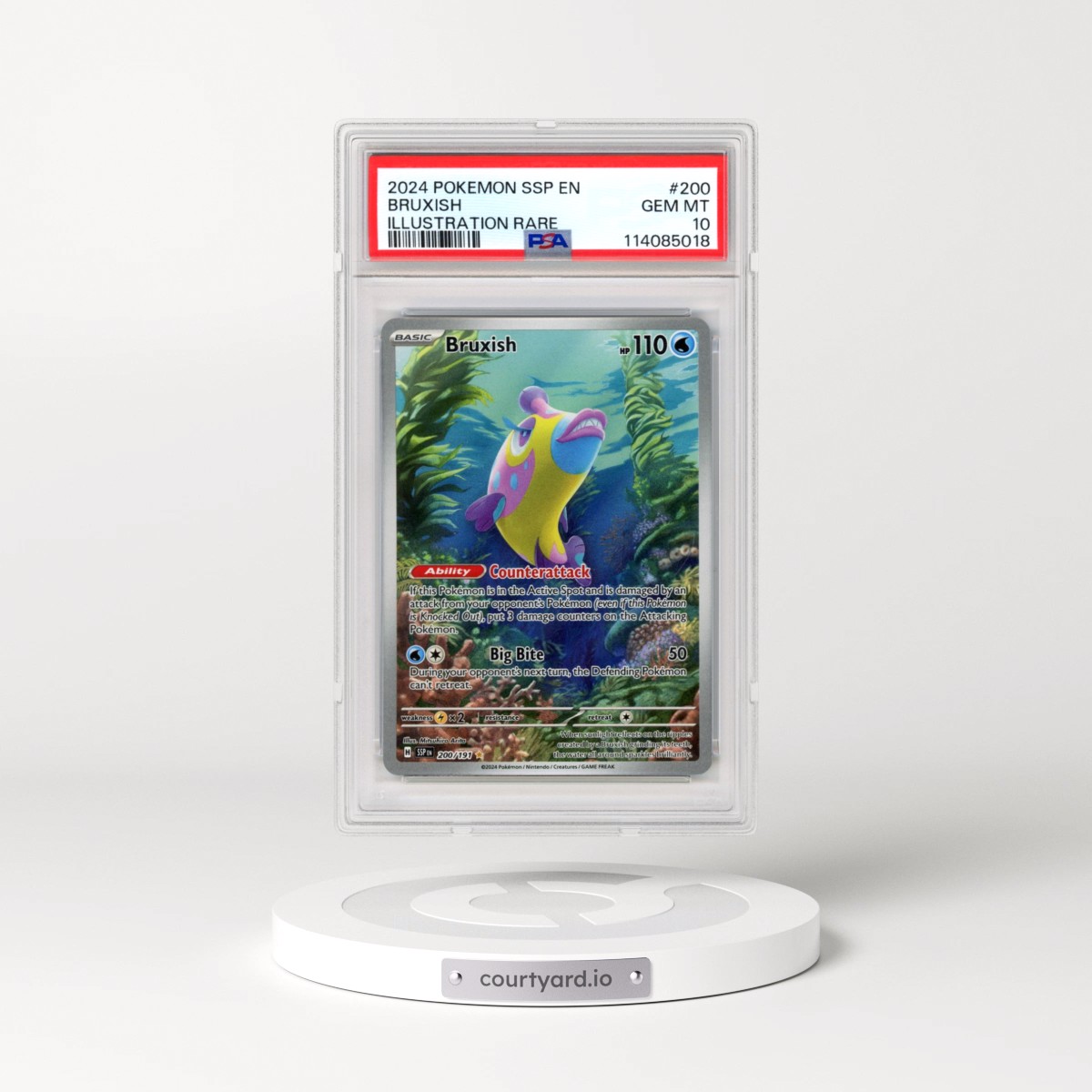 2024 Pokémon Ssp EN-Surging Sparks #200 Bruxish - Illustration Rare (PSA 10 GEM MINT)