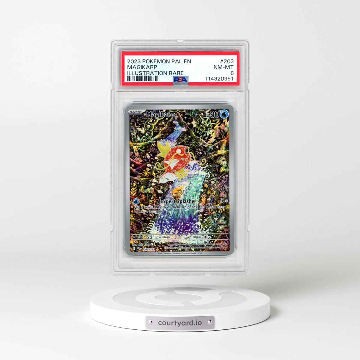 2023 Pokémon Pal EN-Paldea Evolved #203 Magikarp - Illustration Rare (PSA 8 NM-MT)