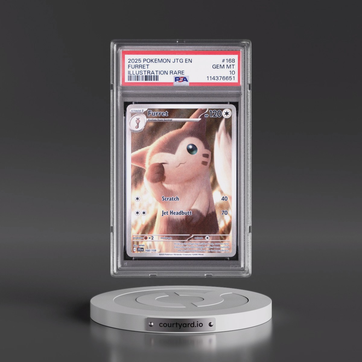 2025 Pokémon Jtg EN-Journey Together #168 Furret - Illustration Rare (PSA 10 GEM MINT)