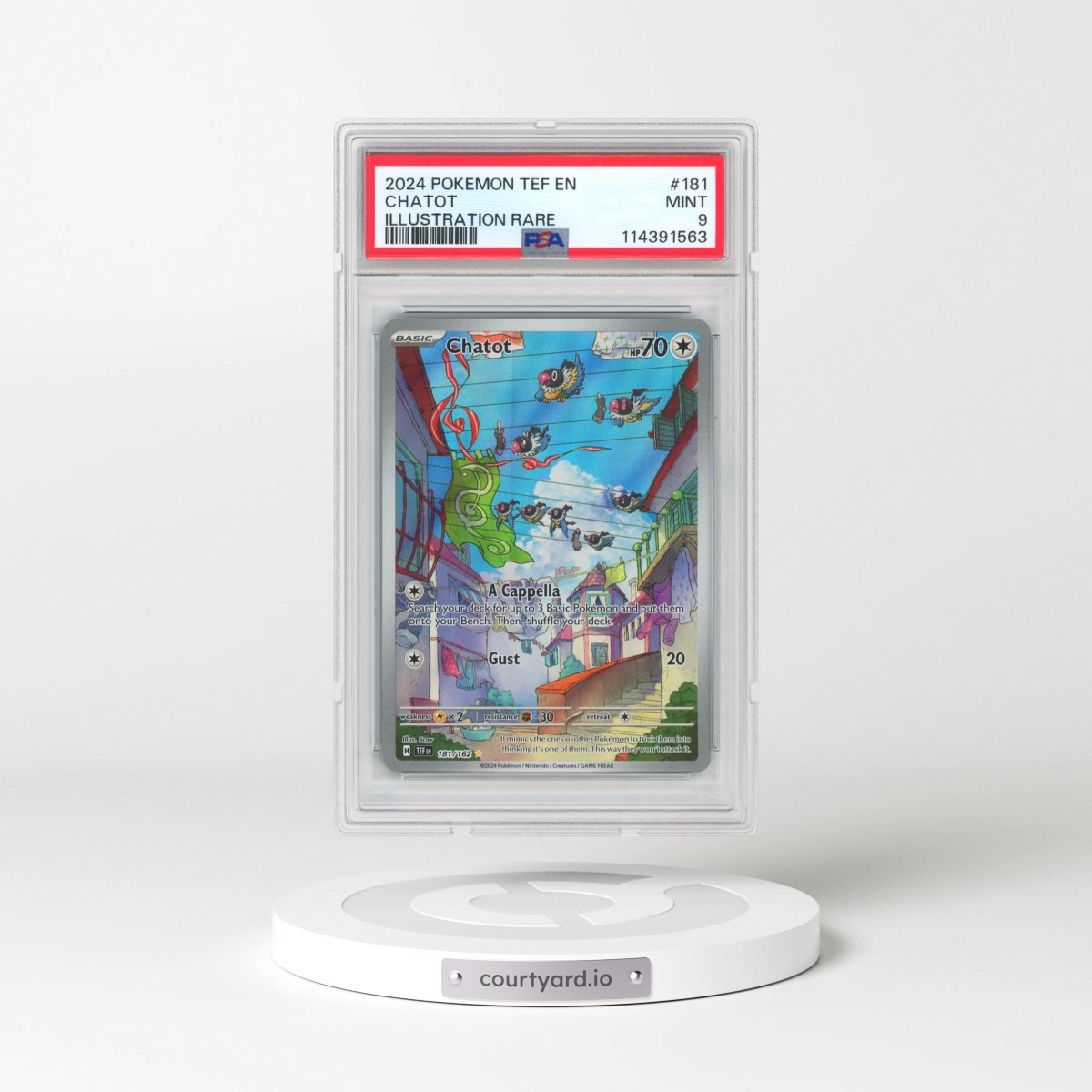 2024 Pokémon Tef EN-Temporal Forces #181 Chatot - Illustration Rare (PSA 9 MINT)