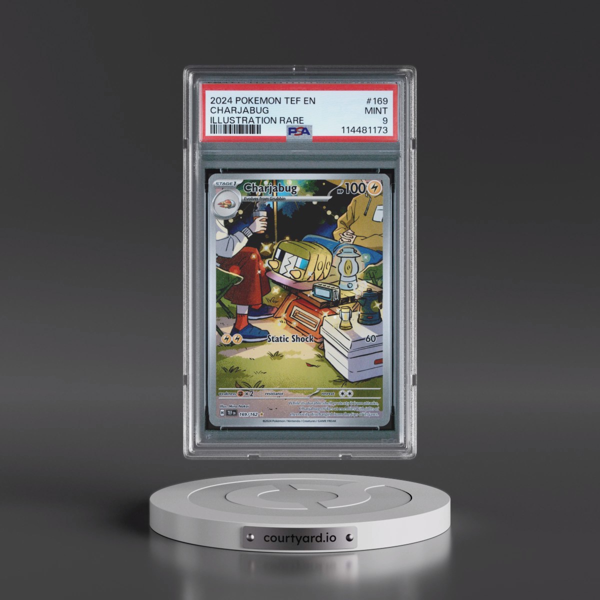 2024 Pokémon Tef EN-Temporal Forces #169 Charjabug - Illustration Rare (PSA 9 MINT)