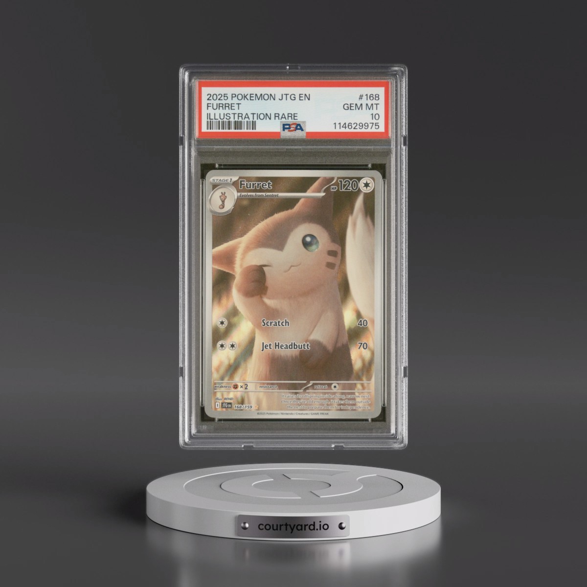 2025 Pokémon Jtg EN-Journey Together #168 Furret - Illustration Rare (PSA 10 GEM MINT)
