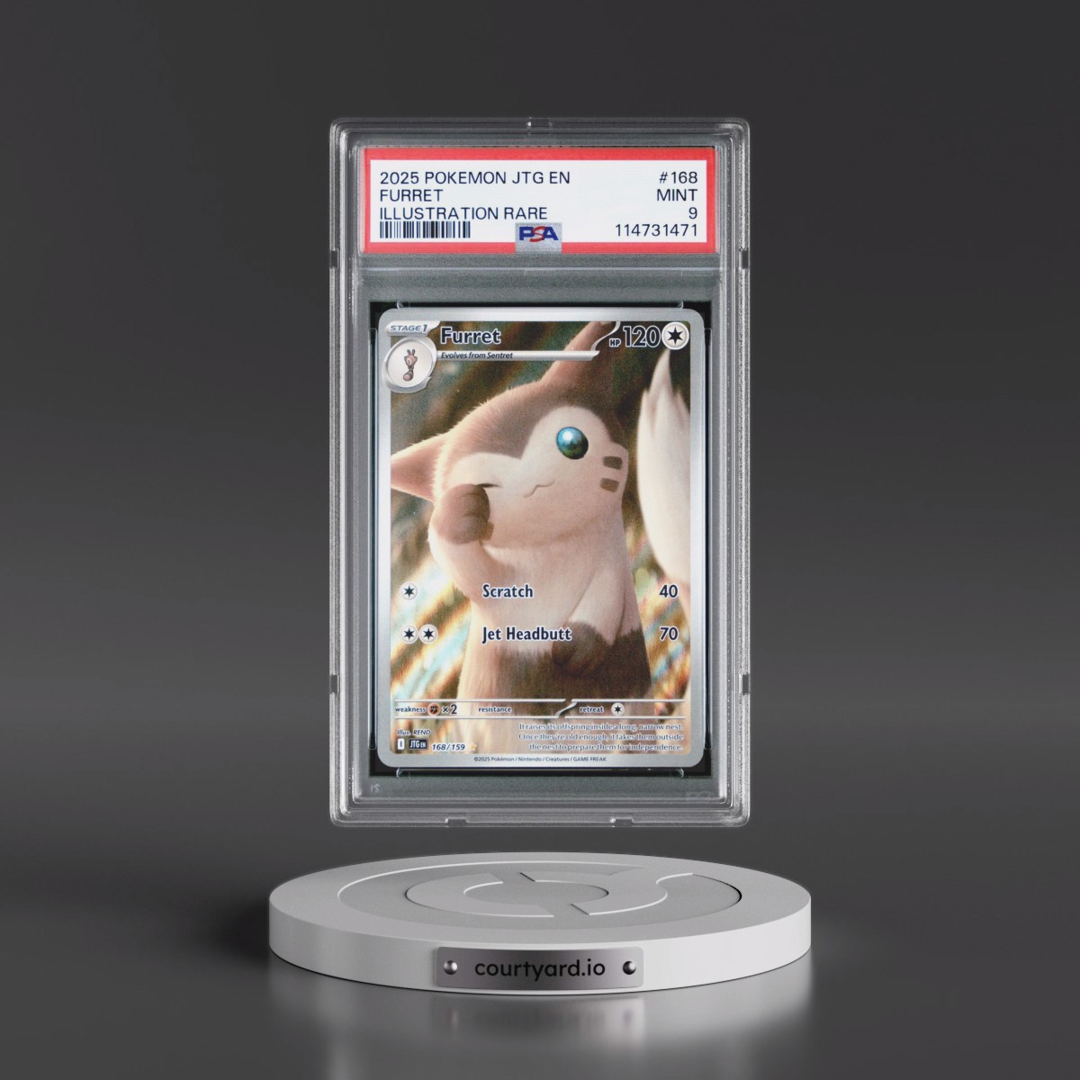 2025 Pokémon Jtg EN-Journey Together #168 Furret - Illustration Rare (PSA 9 MINT)