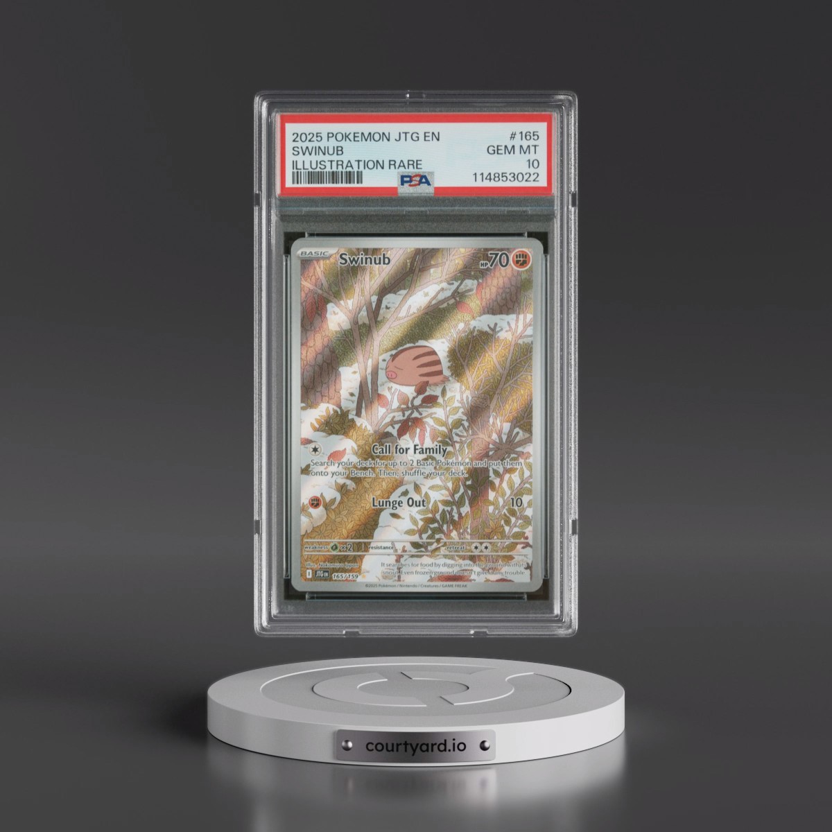 2025 Pokémon Jtg EN-Journey Together #165 Swinub - Illustration Rare (PSA 10 GEM MINT)