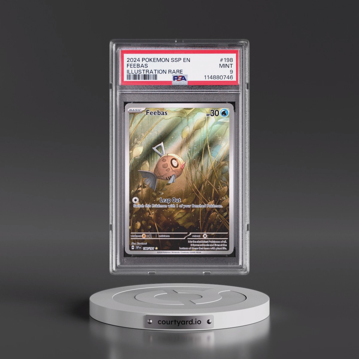2024 Pokémon Ssp EN-Surging Sparks #198 Feebas - Illustration Rare (PSA 9 MINT)