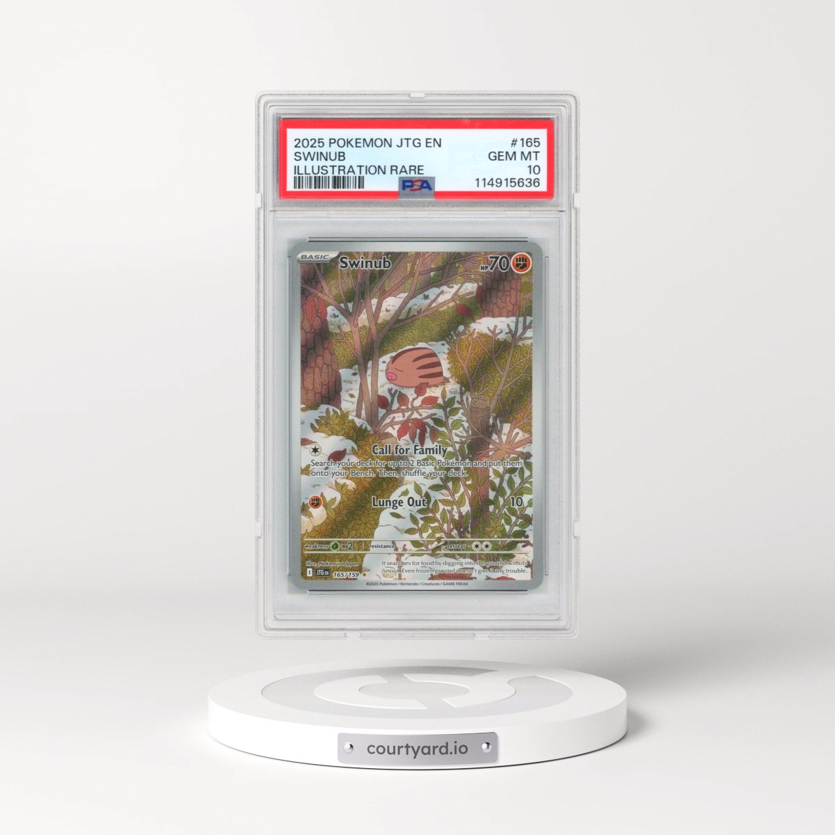 2025 Pokémon Jtg EN-Journey Together #165 Swinub - Illustration Rare (PSA 10 GEM MINT)