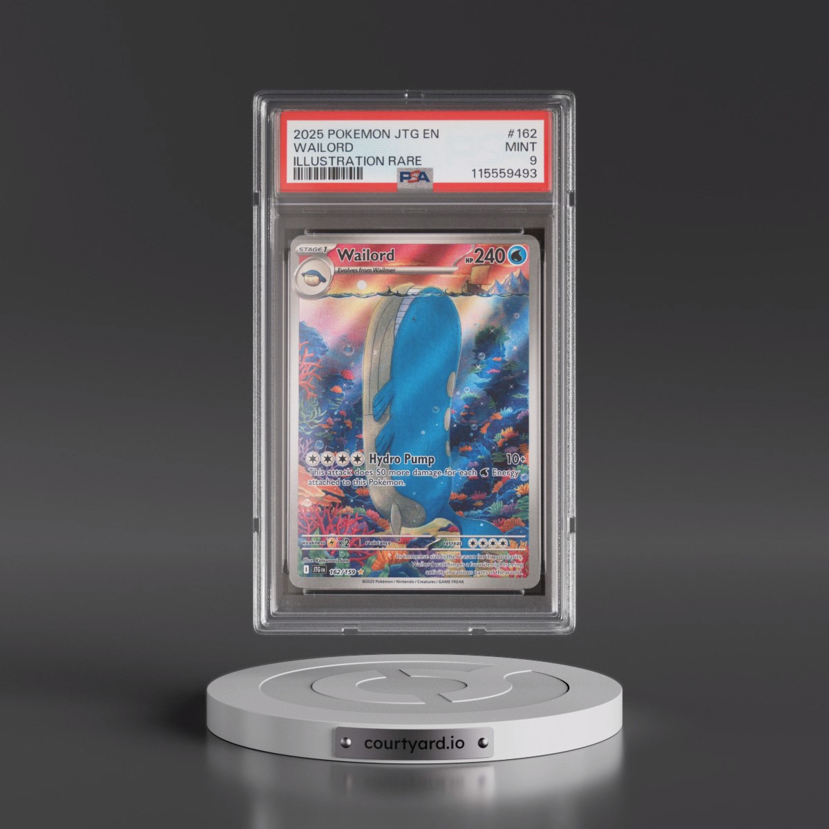 2025 Pokémon Jtg EN-Journey Together #162 Wailord - Illustration Rare (PSA 9 MINT)
