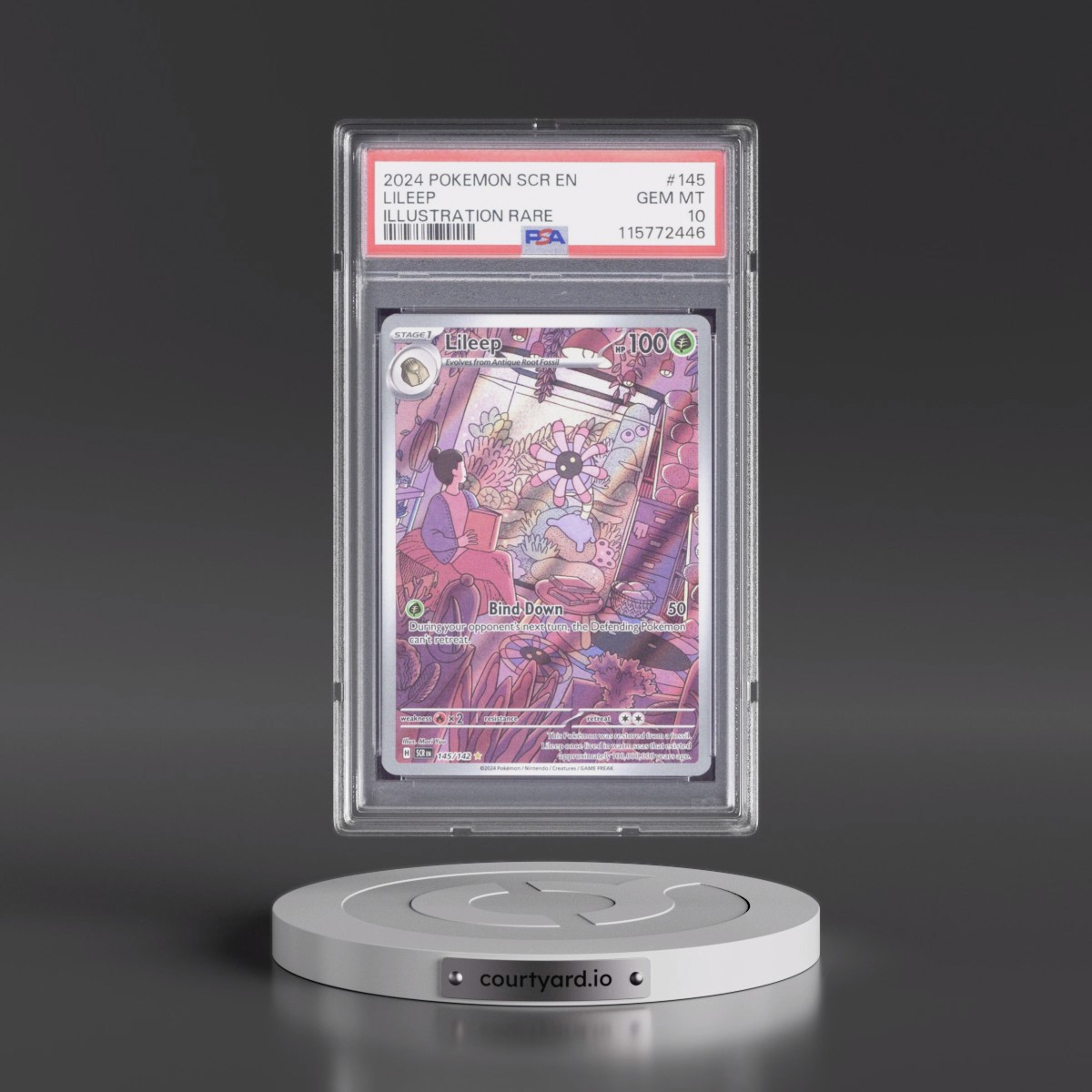2024 Pokémon Scr EN-Stellar Crown #145 Lileep - Illustration Rare (PSA 10 GEM MINT)