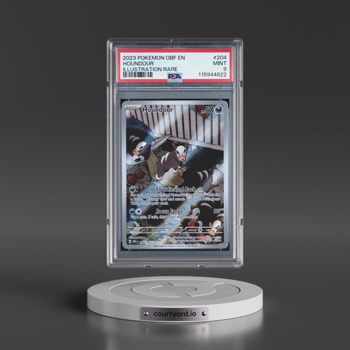 2023 Pokémon Obf EN-Obsidian Flames #204 Houndour - Illustration Rare (PSA 9 MINT)