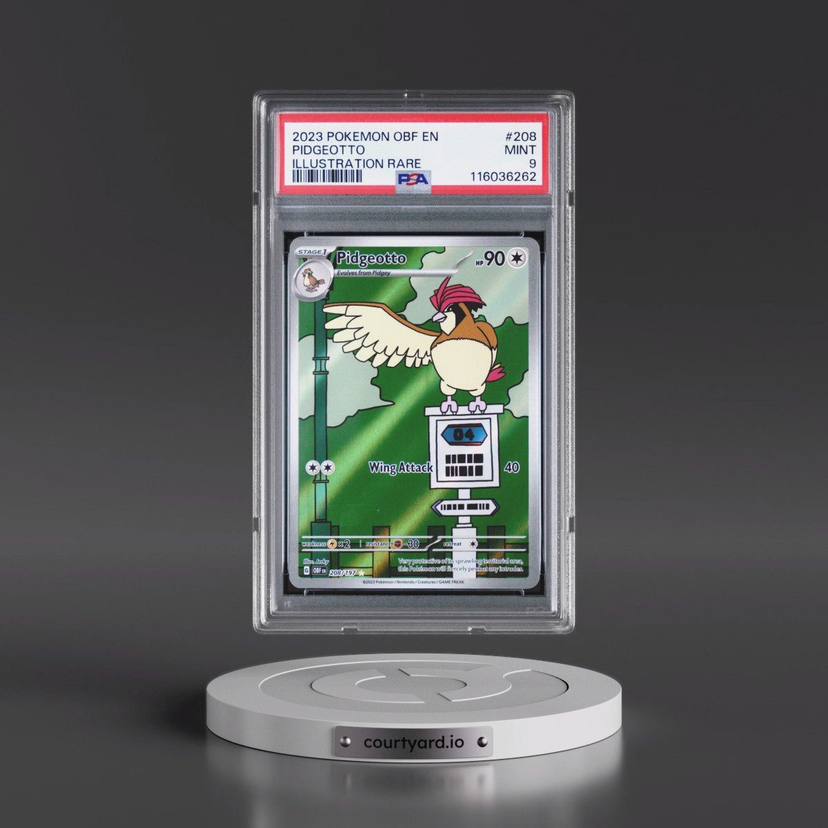 2023 Pokémon Obf EN-Obsidian Flames #208 Pidgeotto - Illustration Rare (PSA 9 MINT)