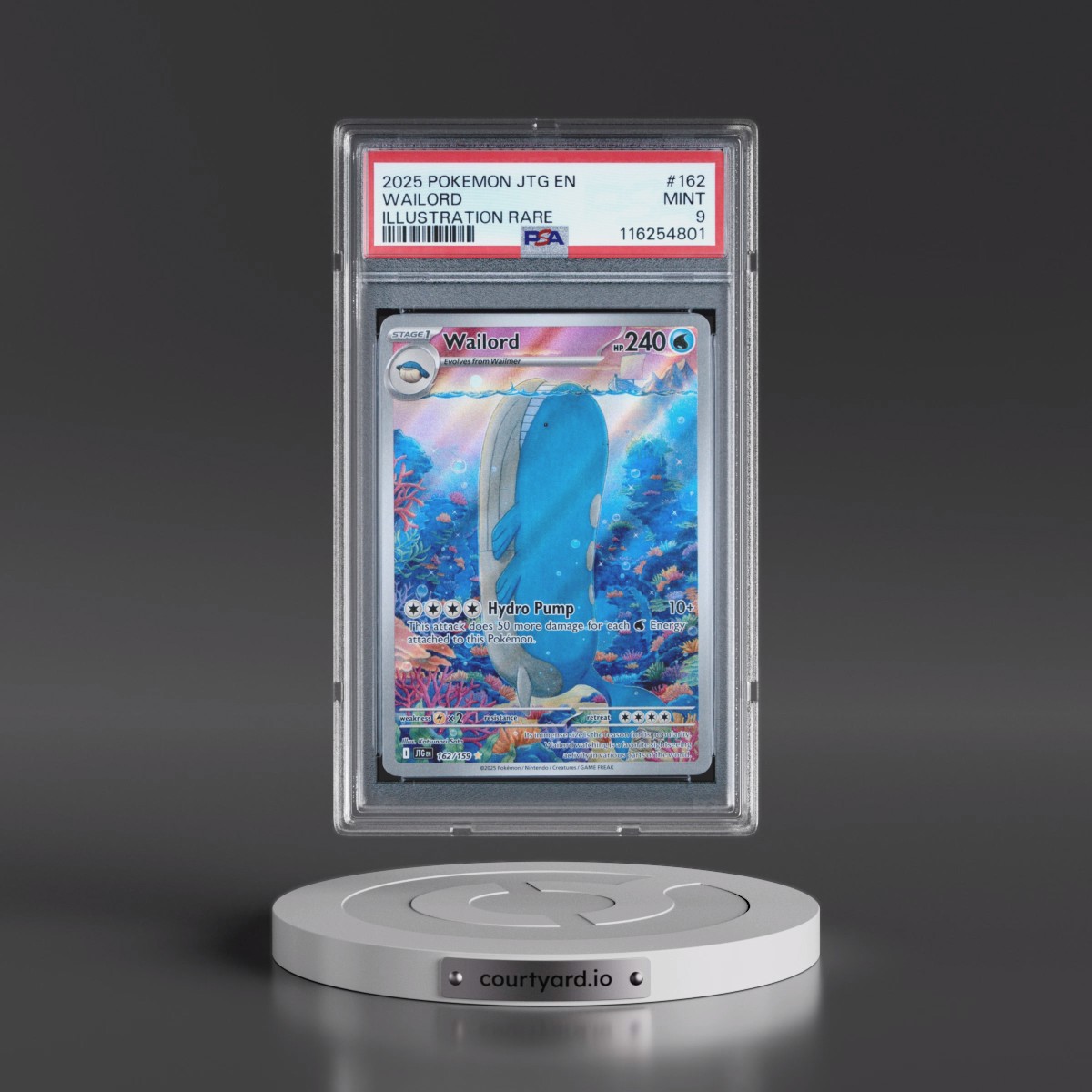 2025 Pokémon Jtg EN-Journey Together #162 Wailord - Illustration Rare (PSA 9 MINT)