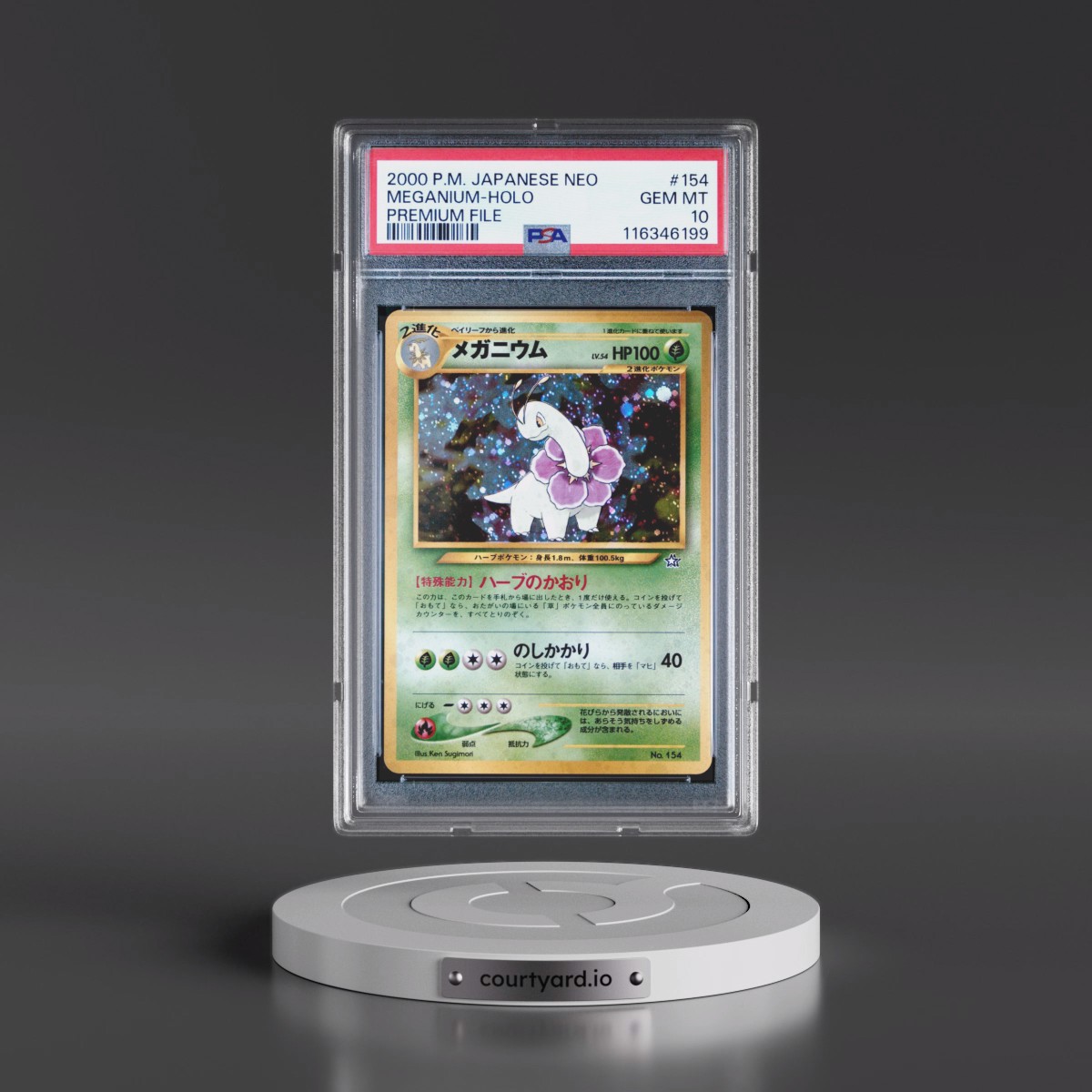 2000 Pokémon Neo #154 Meganium - Holo Premium File (PSA 10 GEM MINT)