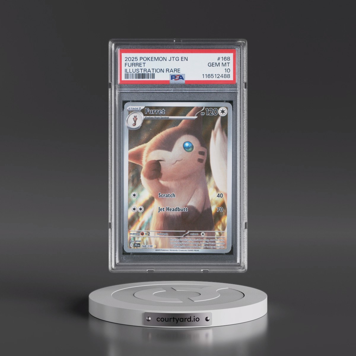 2025 Pokémon Jtg EN-Journey Together #168 Furret - Illustration Rare (PSA 10 GEM MINT)