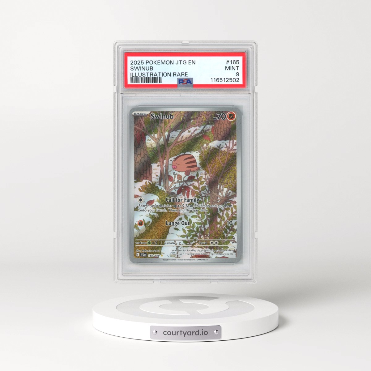 2025 Pokémon Jtg EN-Journey Together #165 Swinub - Illustration Rare (PSA 9 MINT)