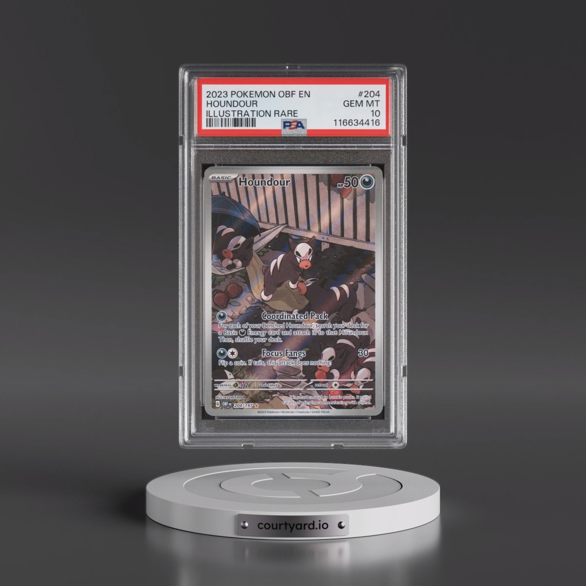 2023 Pokémon Obf EN-Obsidian Flames #204 Houndour - Illustration Rare (PSA 10 GEM MINT)