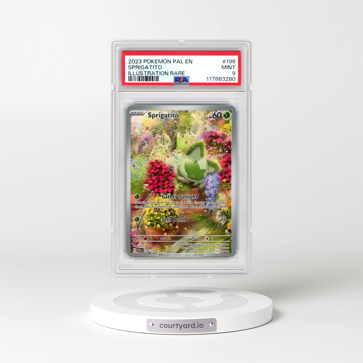 2023 Pokémon Pal EN-Paldea Evolved #196 Sprigatito - Illustration Rare (PSA 9 MINT)