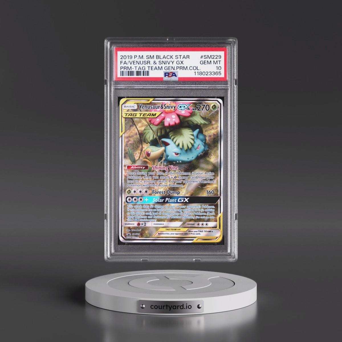 2019 Pokémon SM Black Star Promo #SM229 Venusaur & Snivy GX - Holo Full Art Tag Team Generations Premium Collection (PSA 10 GEM MINT)