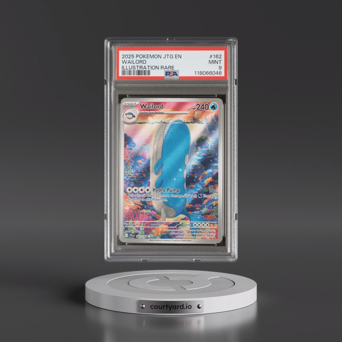 2025 Pokémon Jtg EN-Journey Together #162 Wailord - Illustration Rare (PSA 9 MINT)