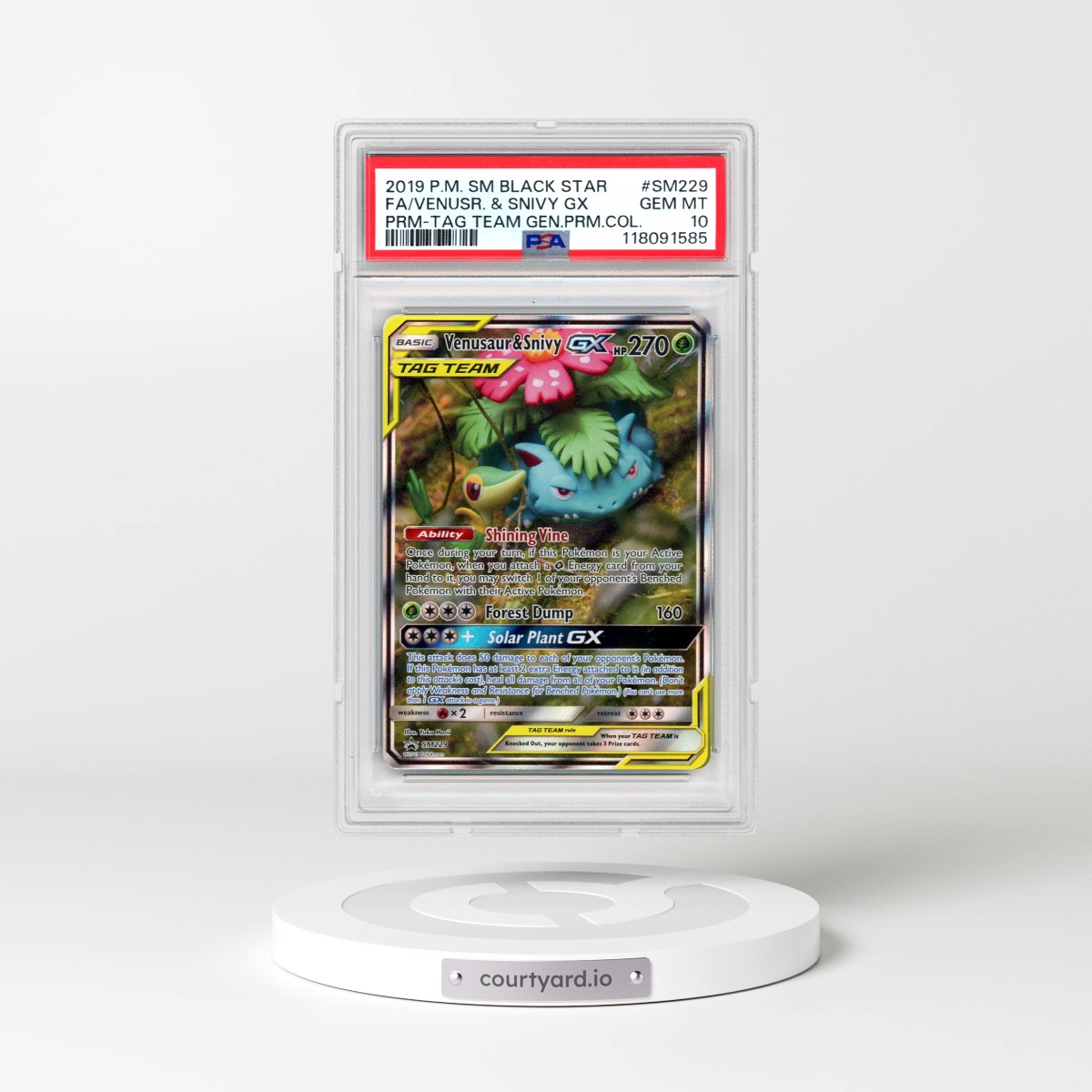 2019 Pokémon SM Black Star Promo #SM229 Venusaur & Snivy GX - Holo Full Art Tag Team Generations Premium Collection (PSA 10 GEM MINT)