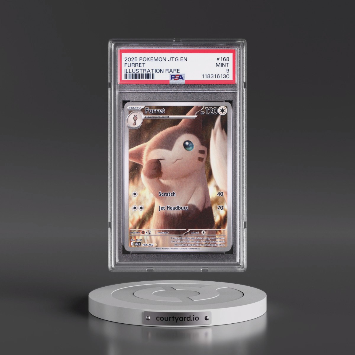 2025 Pokémon Jtg EN-Journey Together #168 Furret - Illustration Rare (PSA 9 MINT)