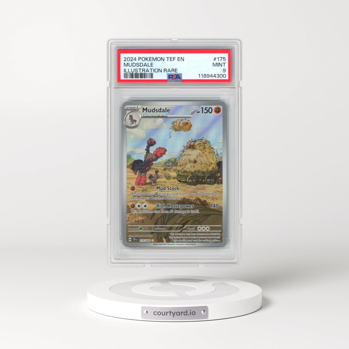 2024 Pokémon Tef EN-Temporal Forces #175 Mudsdale - Illustration Rare (PSA 9 MINT)