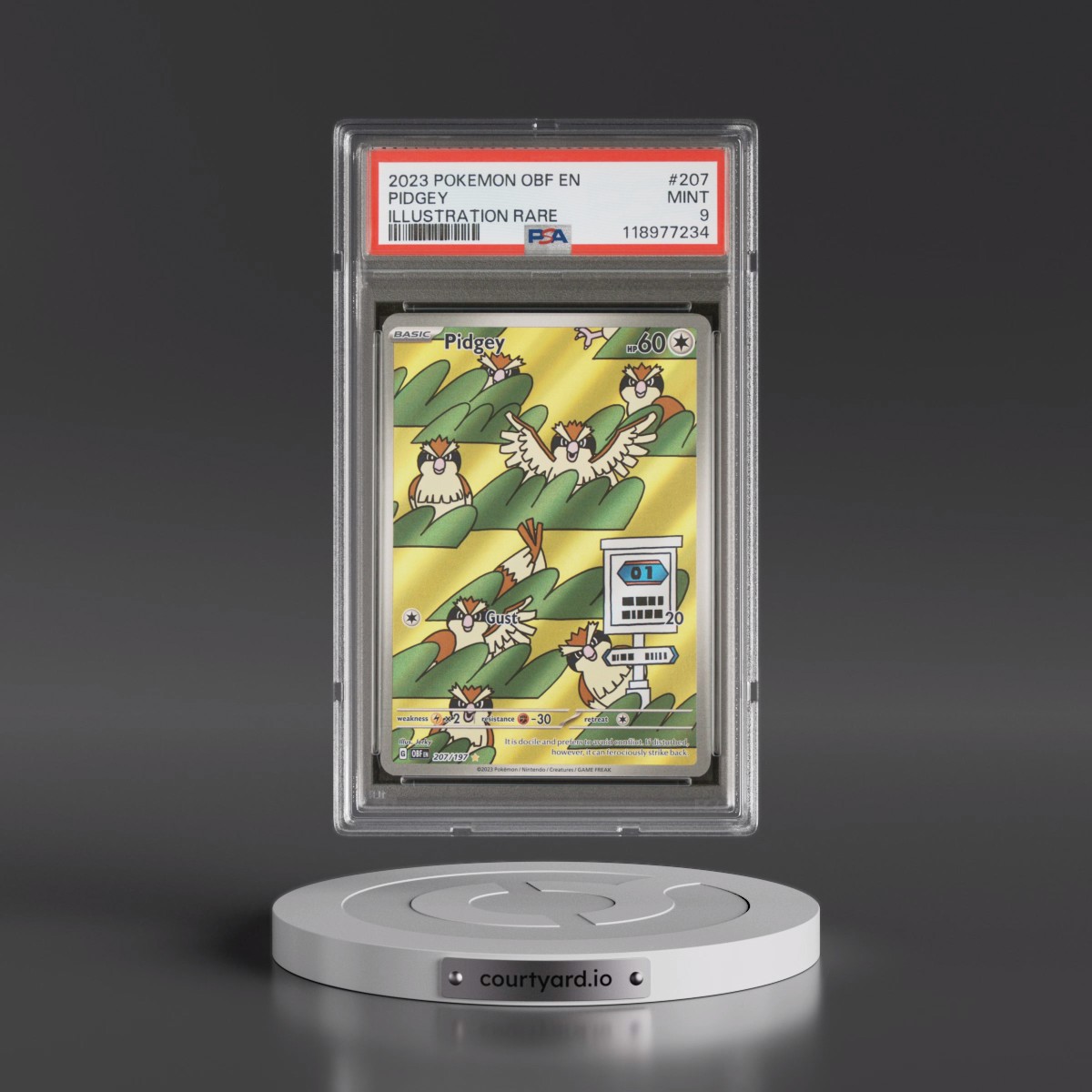 2023 Pokémon Obf EN-Obsidian Flames #207 Pidgey - Illustration Rare (PSA 9 MINT)