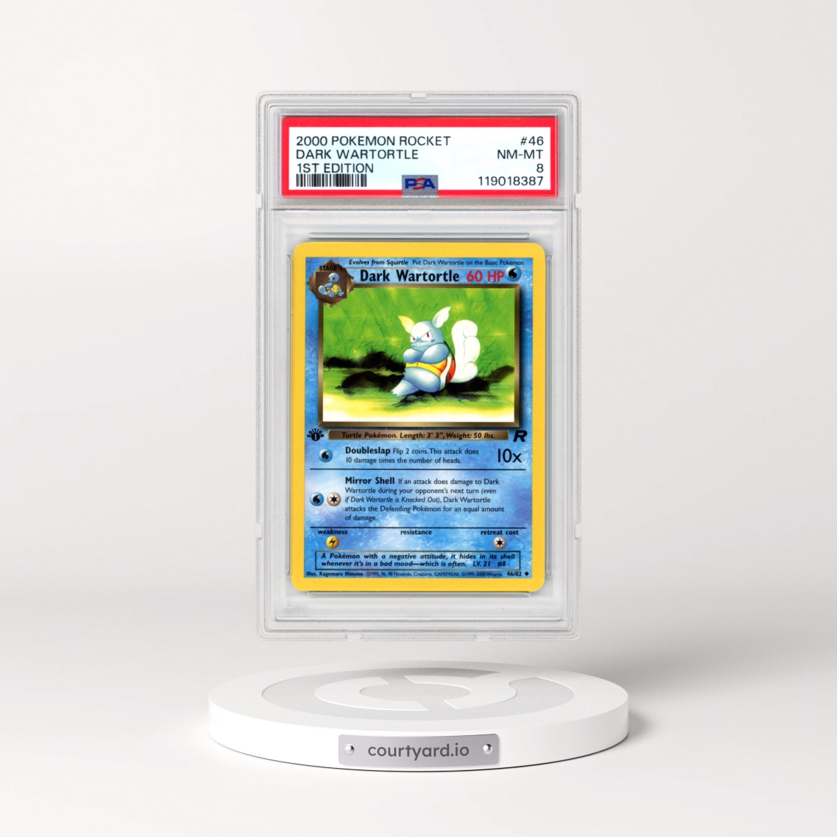 2000 Pokémon Rocket #46 Dark Wartortle - 1st Edition (PSA 8 NM-MT)