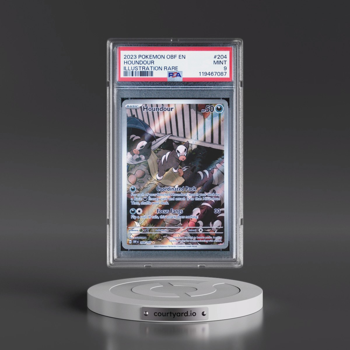 2023 Pokémon Obf EN-Obsidian Flames #204 Houndour - Illustration Rare (PSA 9 MINT)