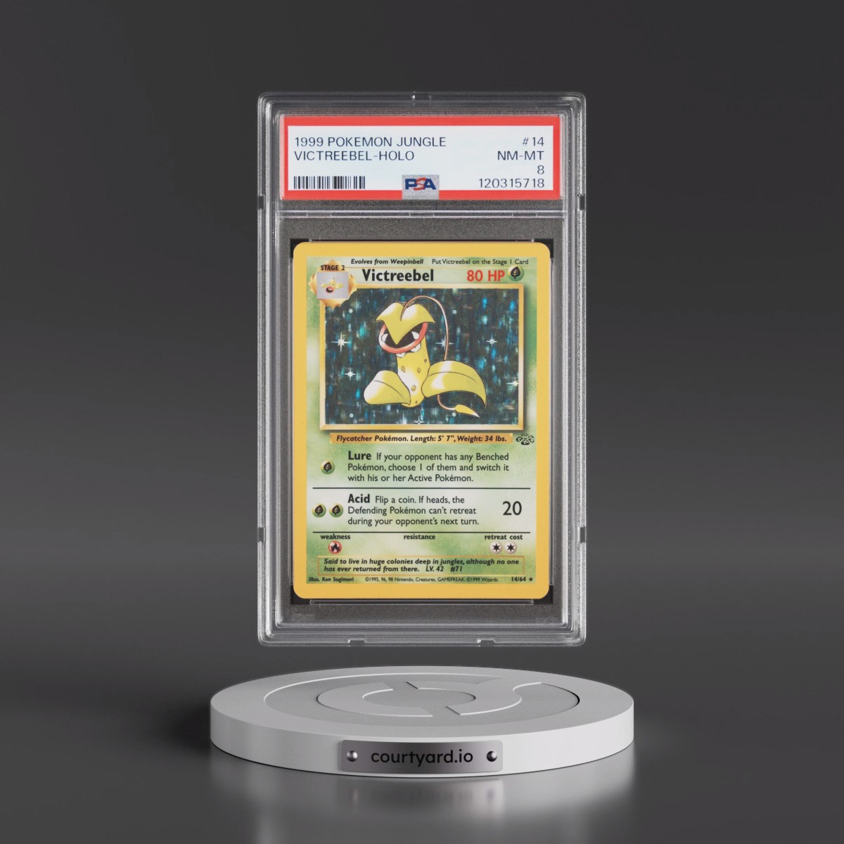 1999 Pokémon Jungle #14 Victreebel - Holo (PSA 8 NM-MT)