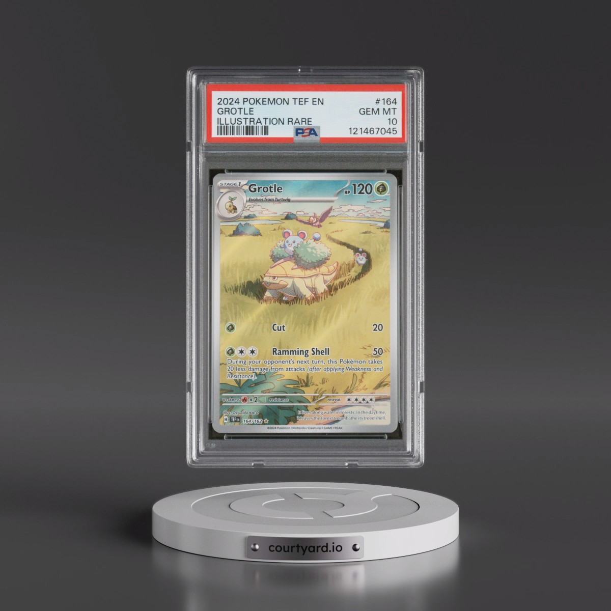 2024 Pokémon Tef EN-Temporal Forces #164 Grotle - Illustration Rare (PSA 10 GEM MINT)