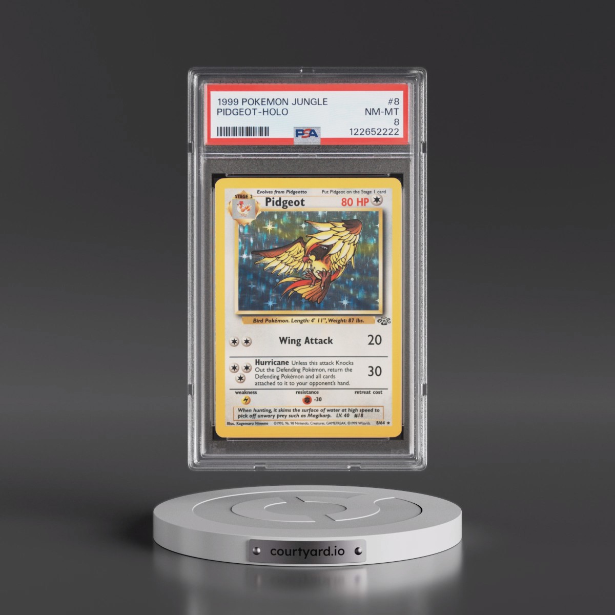 1999 Pokémon Jungle #8 Pidgeot - Holo (PSA 8 NM-MT)