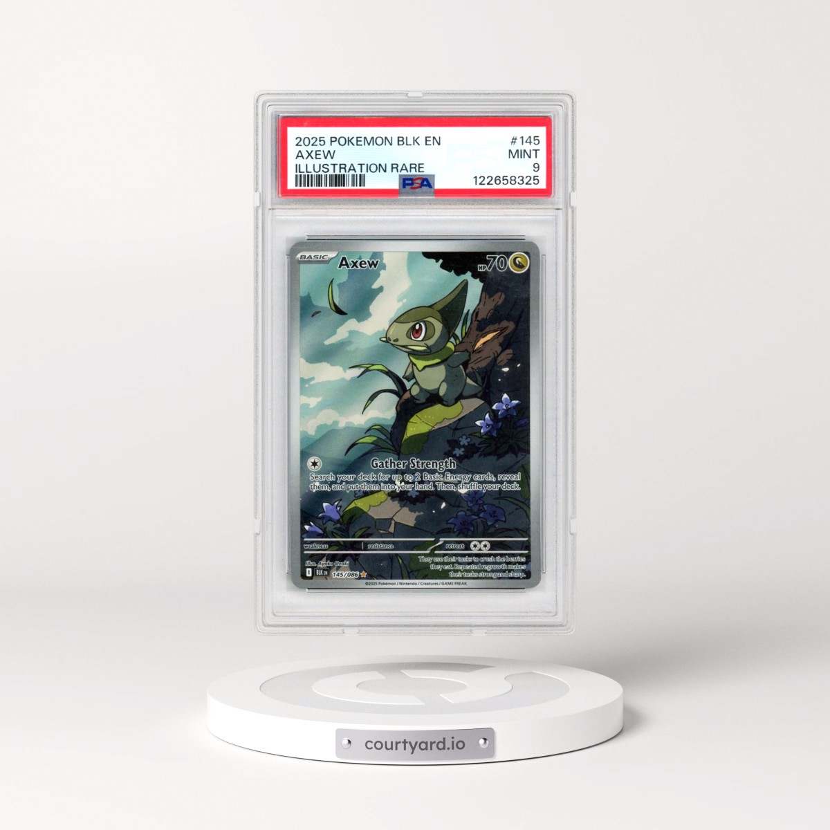 2025 Pokémon Blk EN-Black Bolt #145 Axew - Illustration Rare (PSA 9 MINT)