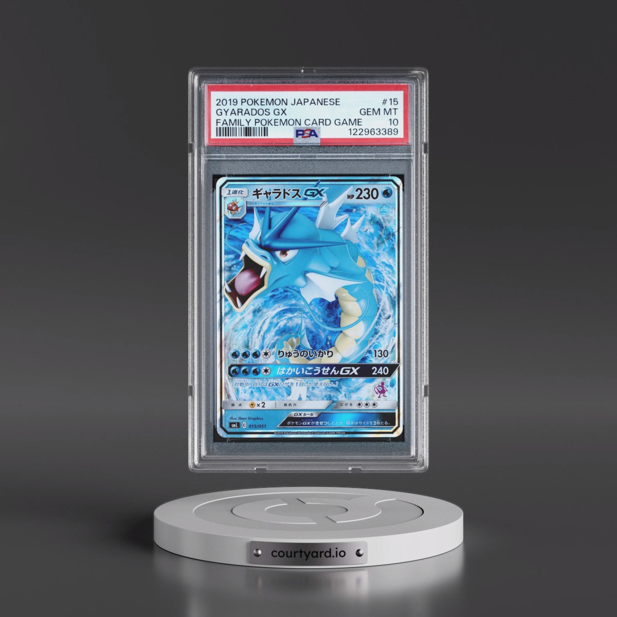 2019 Pokémon Family Pokémon Card Game #15 Gyarados GX - Holo (PSA 10 GEM MINT)