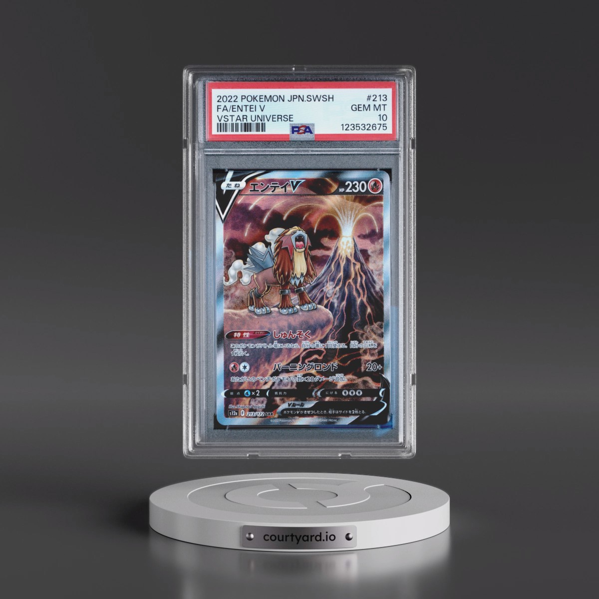 2022 Pokémon Sword & Shield Vstar Universe #213 Entei V - Holo Full Art (PSA 10 GEM MINT)