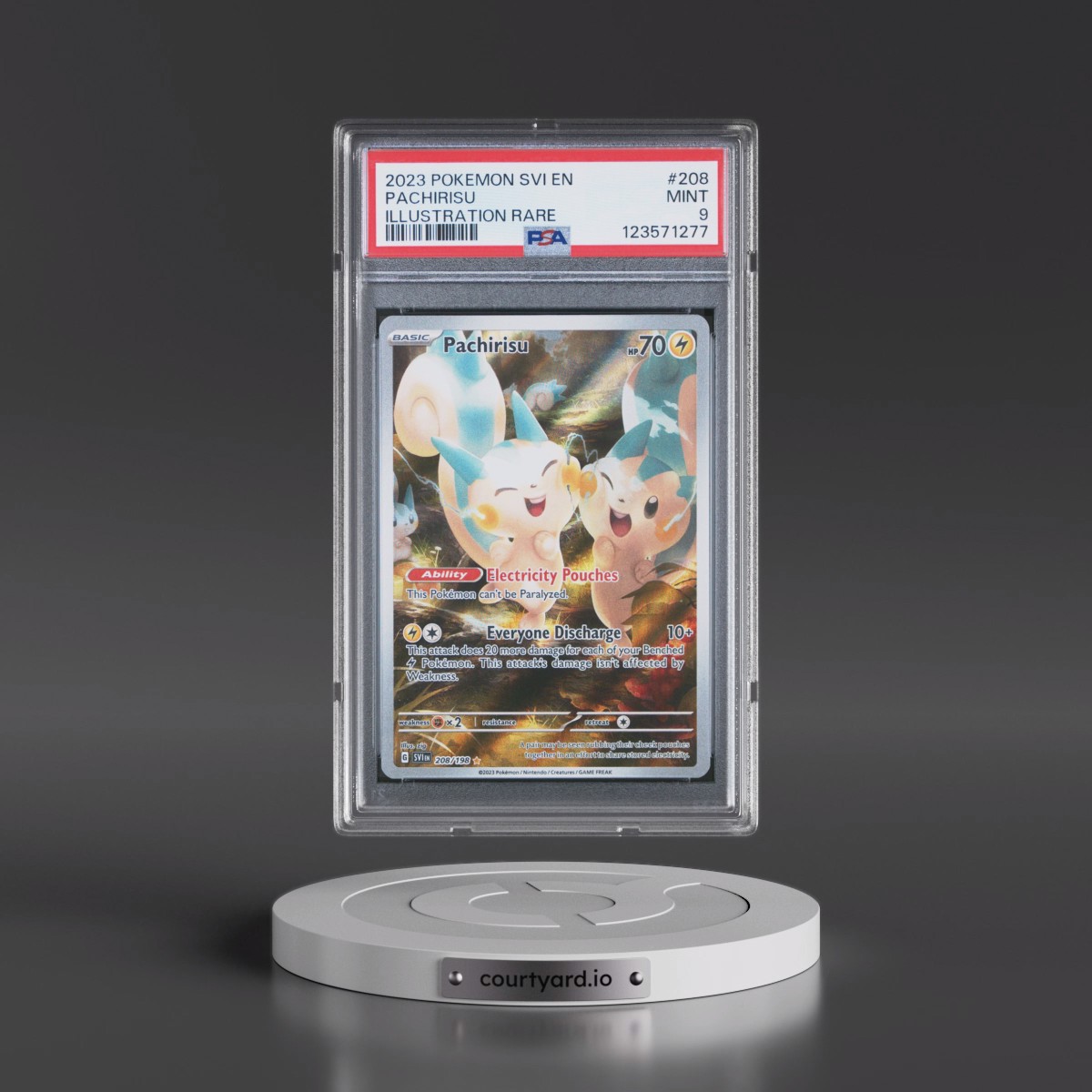 2023 Pokémon Svi EN-Scarlet & Violet #208 Pachirisu - Illustration Rare (PSA 9 MINT)